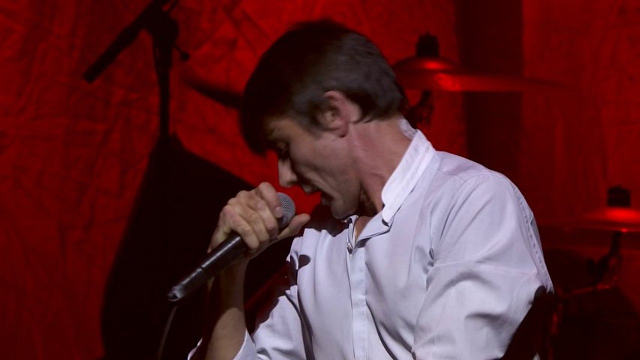 SUEDE - Barriers - live au festival des Inrocks 2013