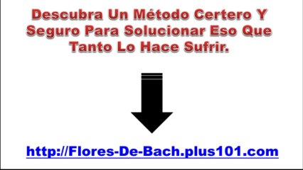 Flores De Bach Propiedades