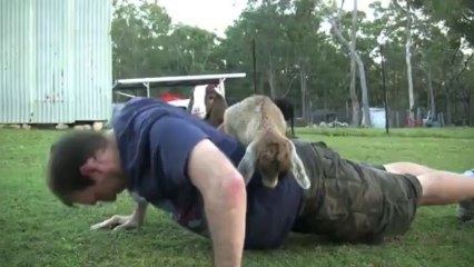 Un bébé chèvre sur le dos, il fait ses pompes tranquillement!