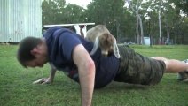 Man Does Press-ups With Baby Goats On His Back