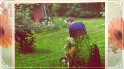 Sarahs Yard and Garden (954) 548-1674