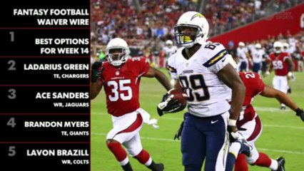 Fantasy Football Waiver Wire: Week 14