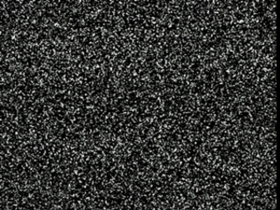 Plus vite que la musique