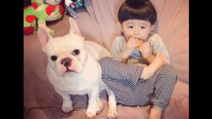 Cute Friendship Between Japanese Boy & His Bulldog