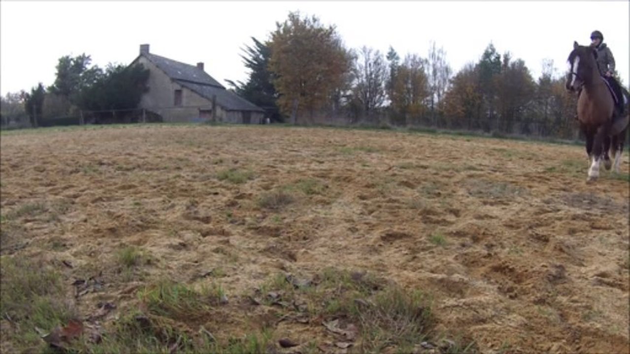 virunga departs galop