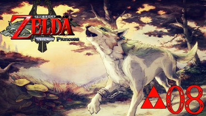 [FR] Zelda Twilight Princess -08- "Les terres d'Ordinn"