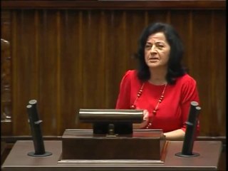 Anna Paluch - Wystąpienie z dnia 03 grudnia 2013 roku.