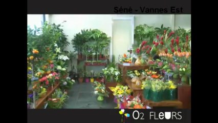 O2 Fleurs - Vannes - Séné