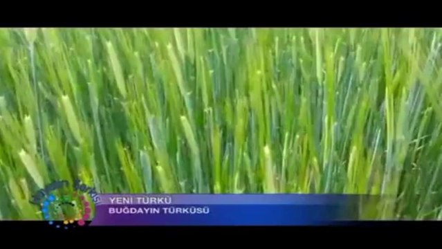 06 yeni türkü buğdayın türküsü 07.07.2013 direniş şarkıları imctv