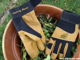Working Gloves