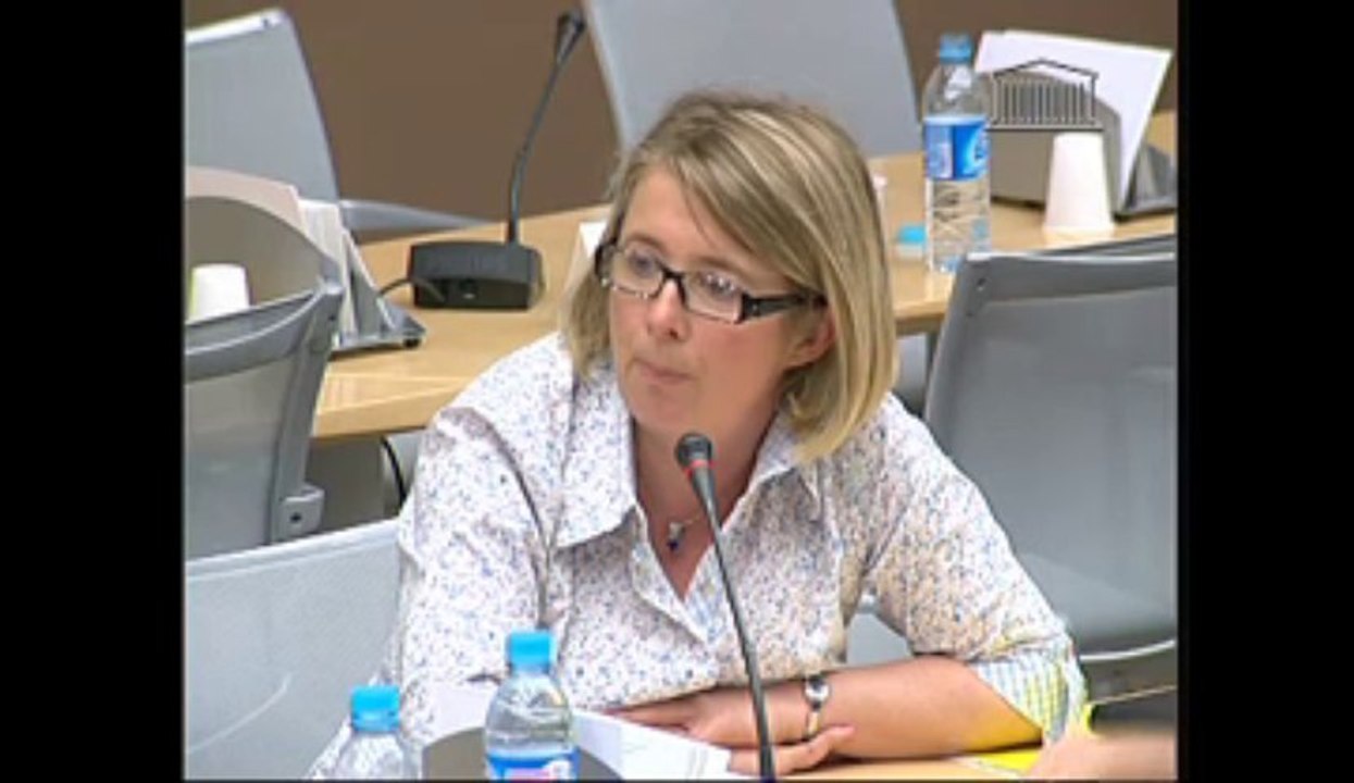 Audition de M. Jean-Paul Bailly, pdg de La Poste - Mercredi 3 Juillet 2013