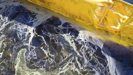 YLEA - Gestes de premier secours en vidéo - ALERTE