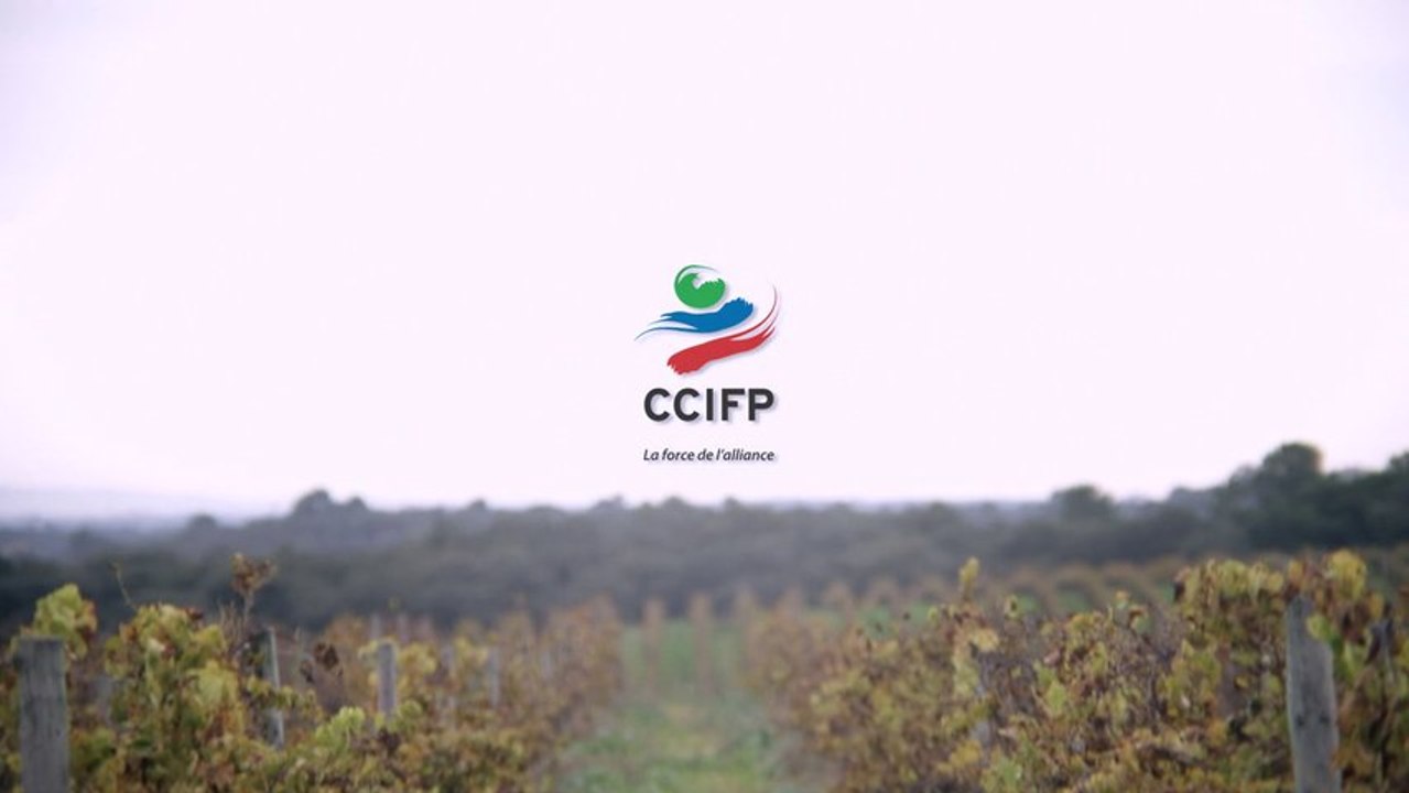 Gala CCIFP 2013 :: Présentation des Vins Maló Tojo