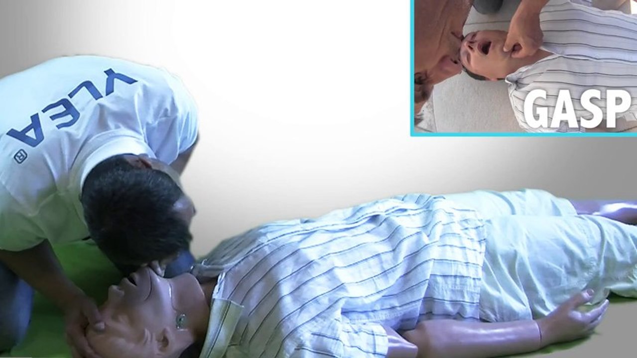 YLEA - Gestes de premier secours en vidéo - ARRET CARDIAQUE