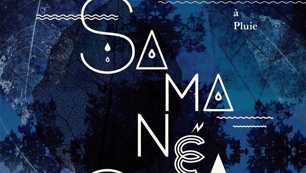 SOFArt – Episode 17 : Samanéa Saman