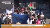 Manifestation contre les licenciements (Montpellier)
