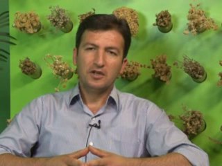 Midede Ülser,reflü,gastrit ve Sigara Bağımlılığı