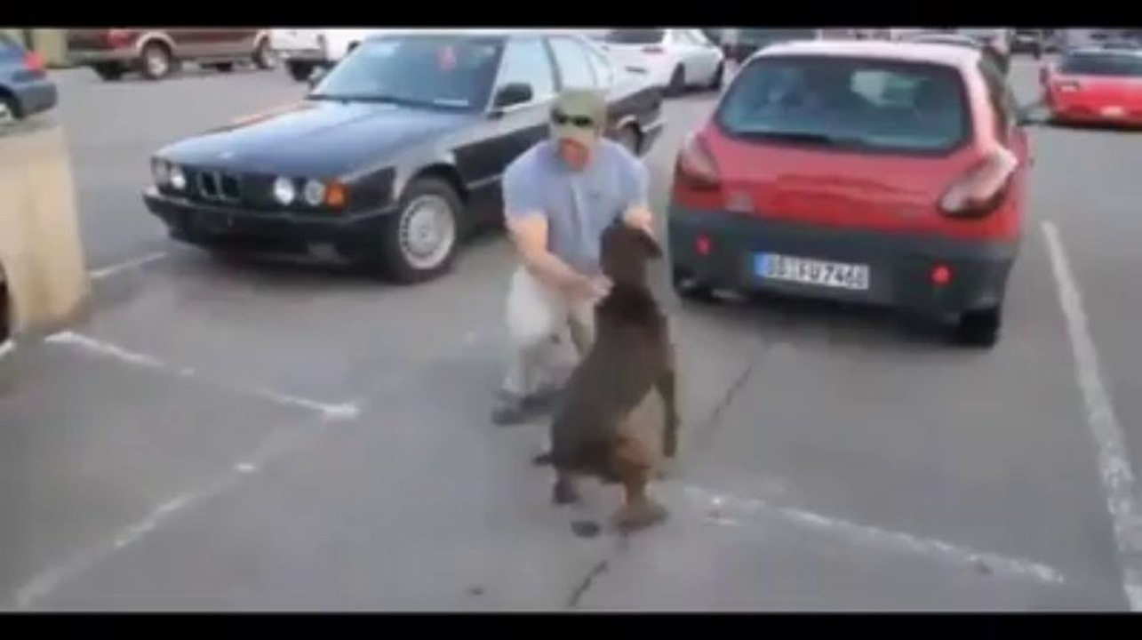 Dog Goes Crazy when Soldier comes Home By Hot Desi Video