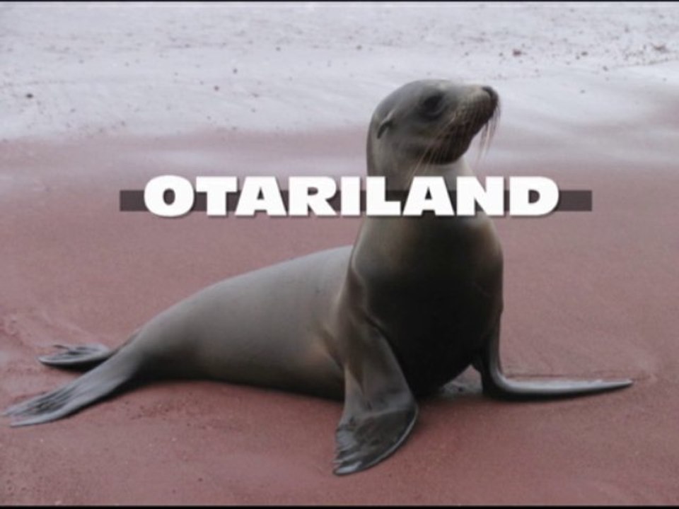 Les Sha-olins -"Otariland"-