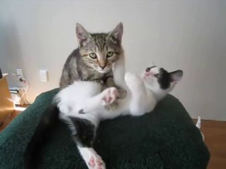 라이브바카라 ＭＡＫＥ４１５．ＣＯＭ 라이브바카라