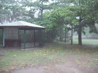 Les pluies tropicales...