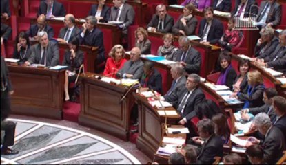 [ARCHIVE] Réforme des rythmes scolaires : réponse de Vincent Peillon au député Patrice Verchère lors des questions au Gouvernement à l'Assemblée nationale, le 13 novembre 2013