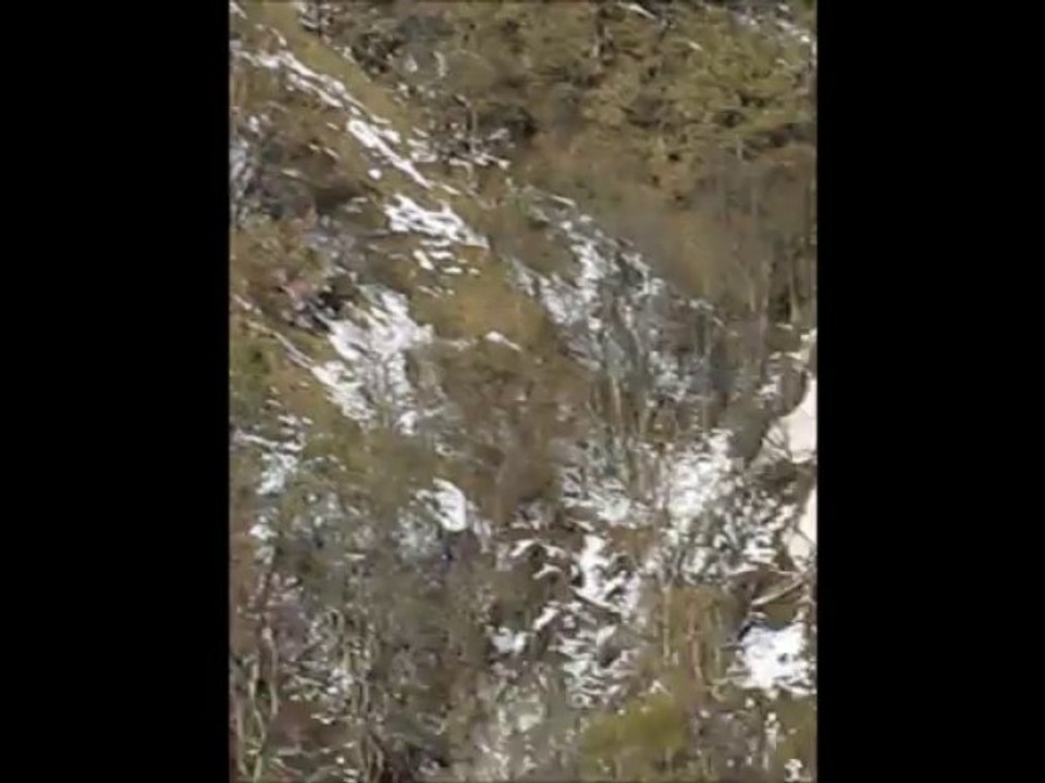 Avalanche