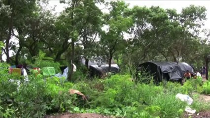 Brasil: hallan muerto a líder indígena