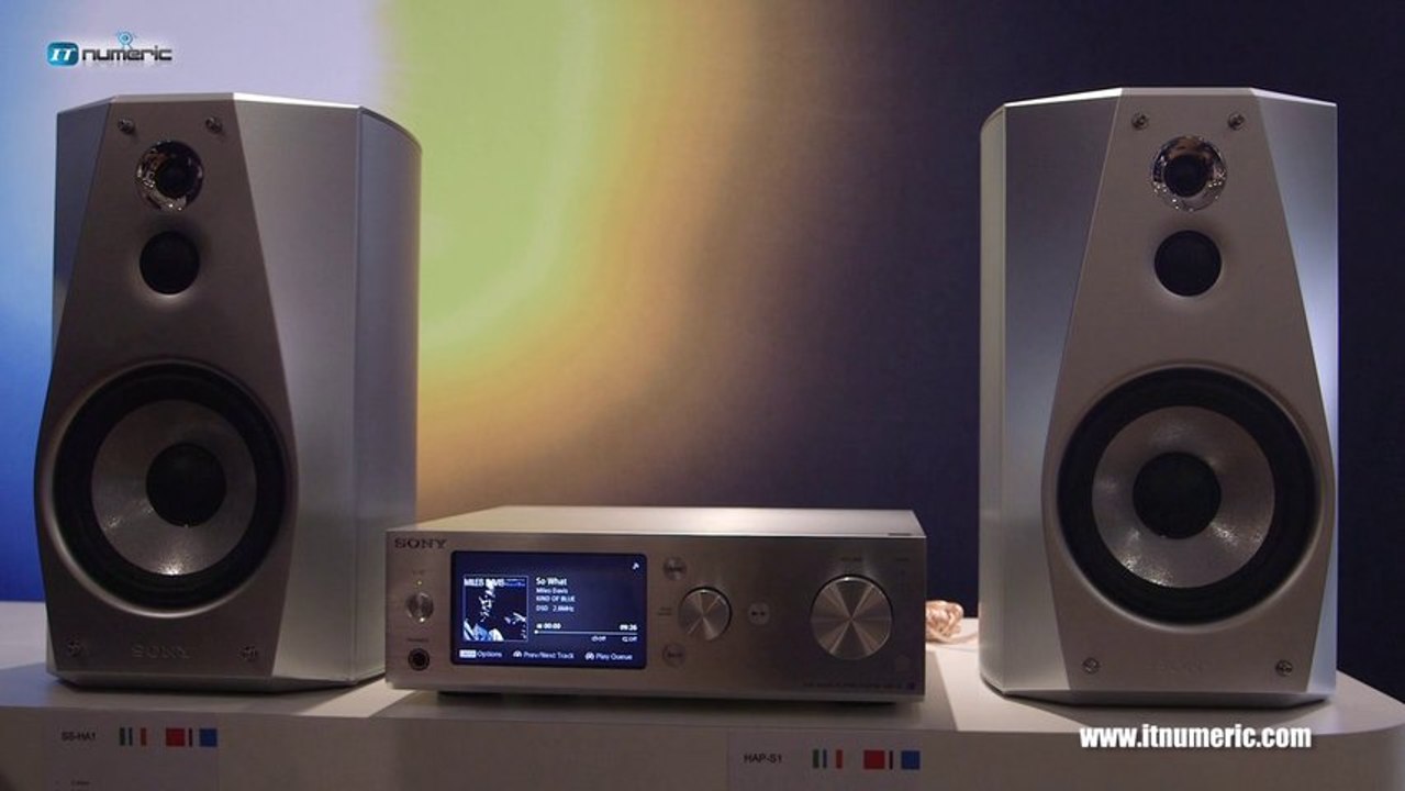 Lecteur audio HHD Sony HAP-S1