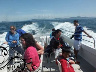 Skellig Michael | Skellig Michael Cruises