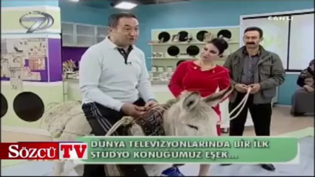 Canlı yayına eşekle çıktı
