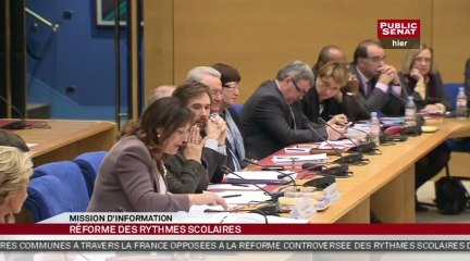 Audition de Marcel Rufo et Jean-Paul Delahaye sur les rythmes scolaires - En séance
