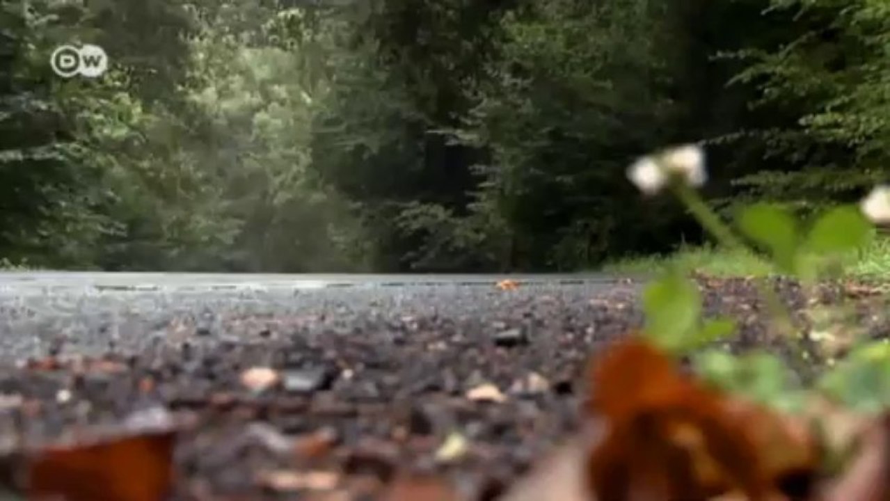 Test the BMW X6 | Drive it!