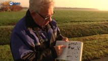 Zeldzame Turkse vogels de weg kwijt: geland in Oost-Groningen - RTV Noord