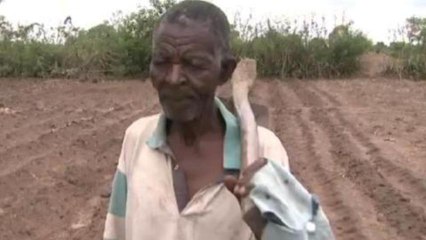 Fears rise amid Malawi's donor aid scandal