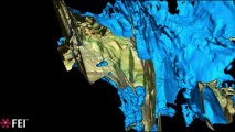Avizo Fire | Marcellus Shale Rock 3D visualization and analysis