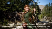 Le Hobbit 2 voir film entier en Français online streaming VF HD gratuit