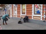 Adorable Dog Sings Along with Street Performer