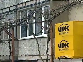 CAT with her baby in the mouth... amazing!