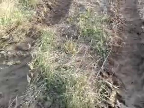 massey ferguson 398 tiller ile çamurda