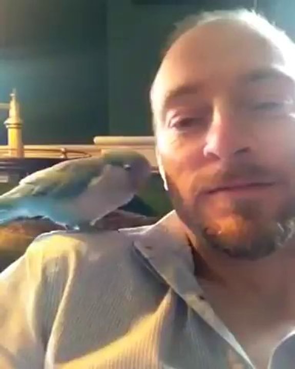 A Love Bird