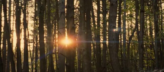 LES BRASIERS DE LA COLÈRE Bande annonce VF