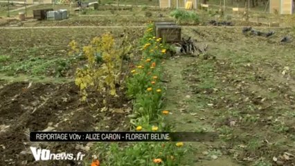 Les jardins familiaux de Montmorency