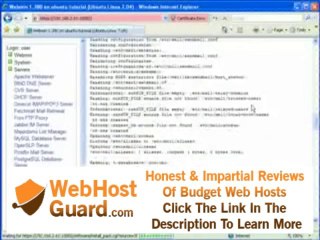 i want to buy hosting,domain,tool marketing,lisence antivirus online(emailstoreonline.com  ).flv