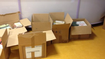 Inondations au Palais des arts