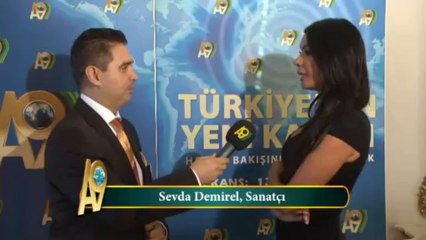 Sevda Demirel, Sanatçı