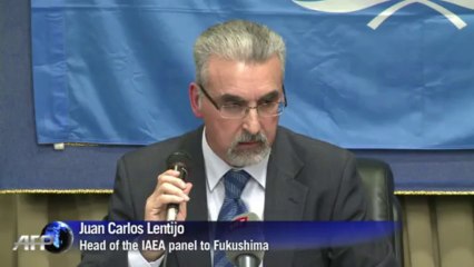 Fukushima remains 'very complex' despite progress: IAEA