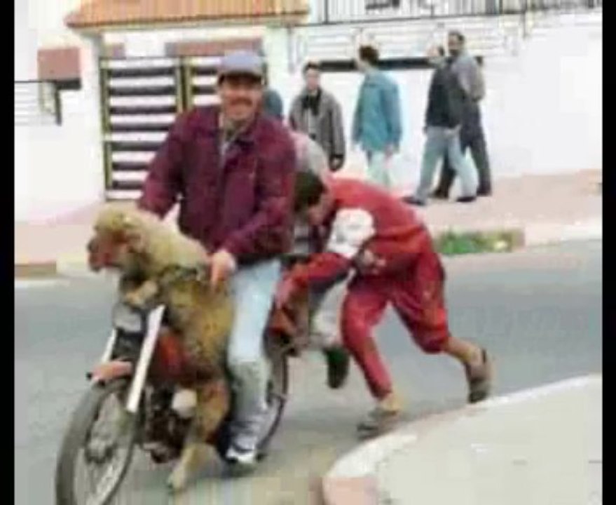 cela se passe chez nous (Algeria)