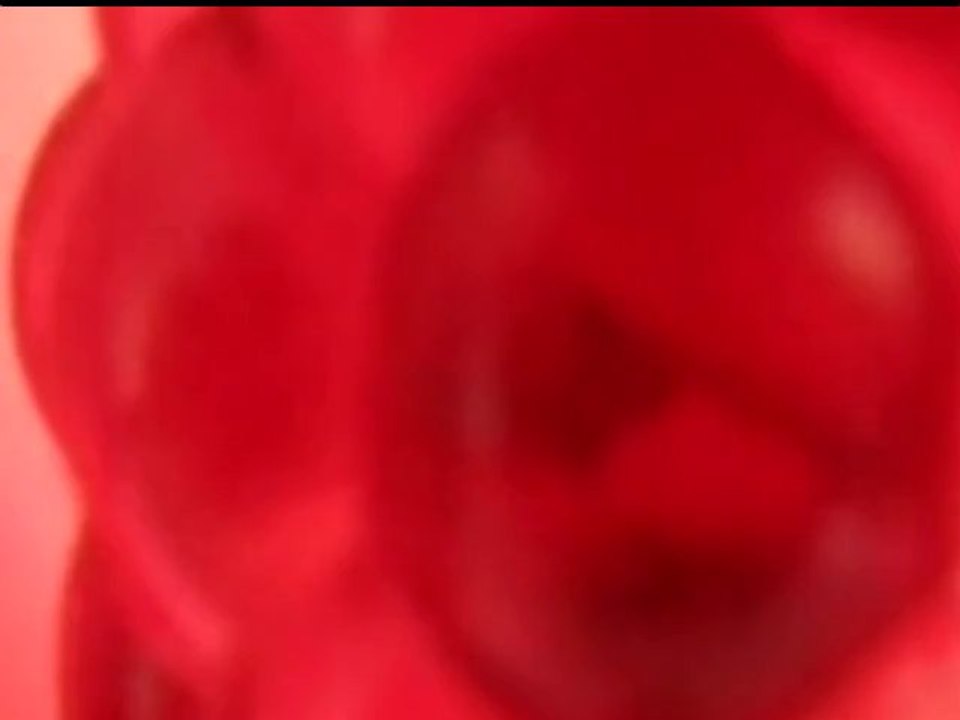 Fade into you (Mazzy Star cover)