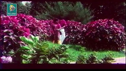 Malayalam Family Comedy movie Vakkeel Vasudev Clip 24